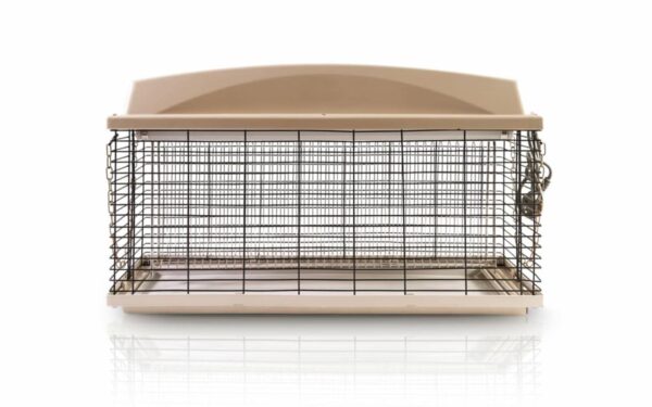 Forte - Insect Killer 60cm - Image 2