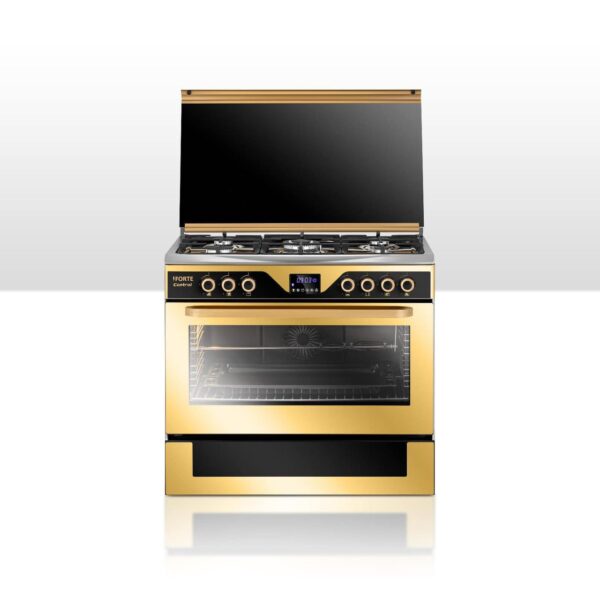 Elite Golden Stainless Steel 60x90 Cooker